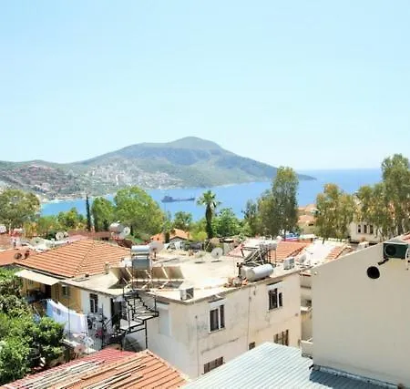 Kelebek Kalkan